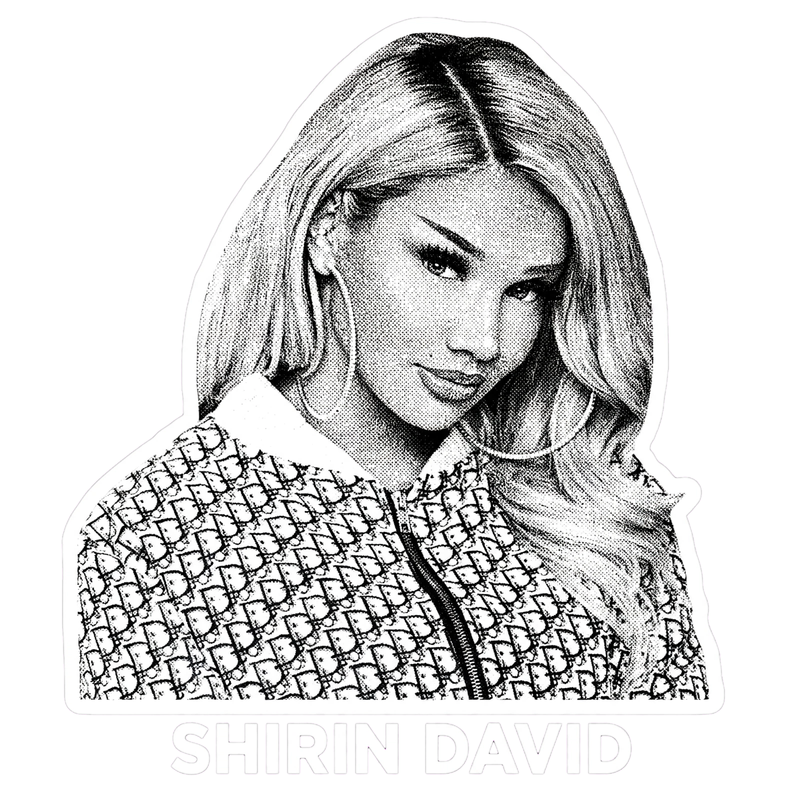 Shirin David